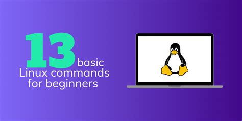 Linux Commands for Beginners 的图像结果