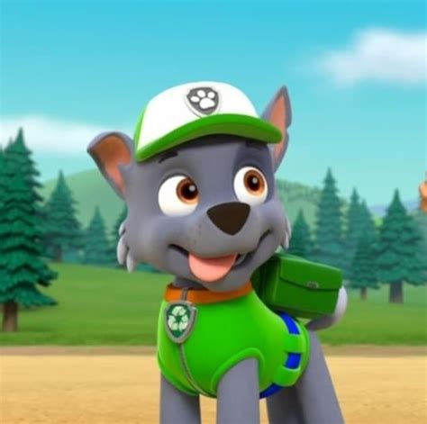 ¿Qué raza es Rocky de Paw Patrol? Aquí te contamos