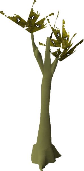 Image result for Old Magic Tree OSRS