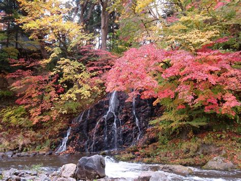 Oirase Gorge & Aomori Fall Foliage Highlights Tour with Lunch - Klook India