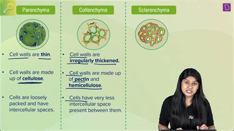 Class 9 Science Chapter 6 的图像结果