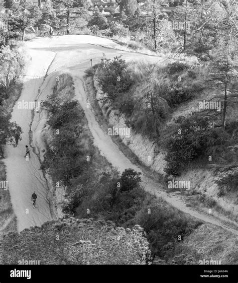Griffith Park Trail Stock Photo - Alamy