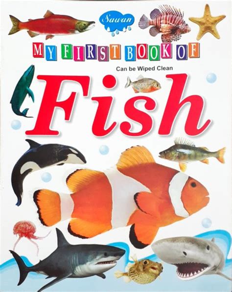 My First Book of Fish Wipe And Clean – Books and You