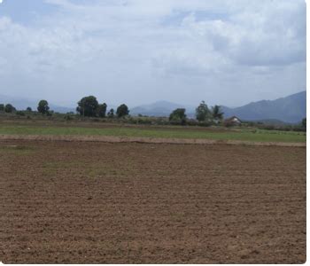 Major Areas :: Dryland Agriculture