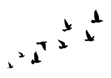 Bird Flying Clip Art at vanbrodieblog Blog