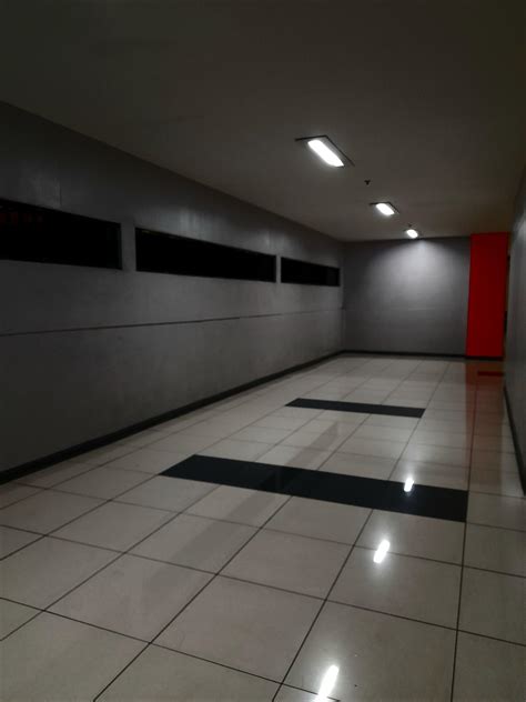 You'll Never Guess What's In This Brekkie Hill Leak - Truth or Fiction