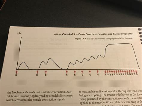 Image result for Muscle Stress Graph