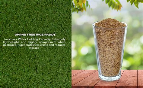 Divine Tree Organic Rice Husk for Plants - Natural Potting Mix ...