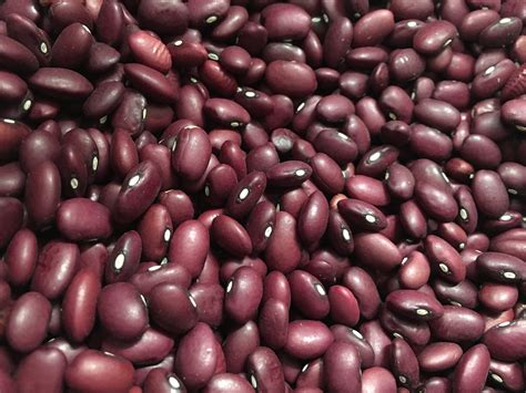 Red Kidney Beans - The Health Nut Albany