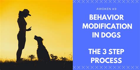 Image result for Behavior Modification for Dogs