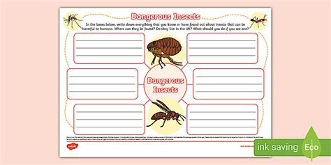 Dangerous Insects Mind Map