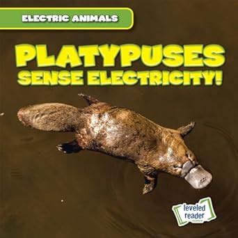 Platypuses Sense Electricity! (Electric Animals) : Mallory, Louis ...