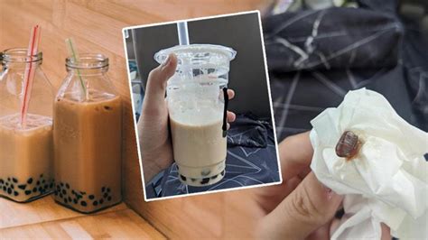 網友分享飲珍珠奶茶吐出曱甴蛋經歷 女子崩潰指不敢喝有珍珠的飲料 | 港生活 - 尋找香港好去處