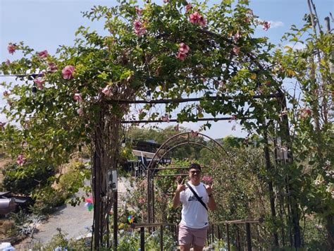 Image result for MiNote 12 Review