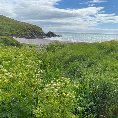 AYRMER COVE - All You Need to Know BEFORE You Go 2026 (with Photos ...