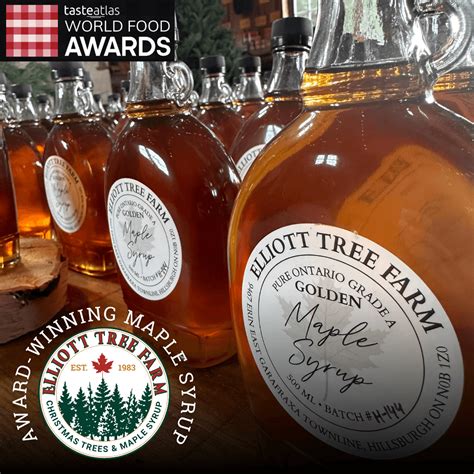 Best Maple Syrup in the World | Elliott Tree Farm Early Harvest Golden