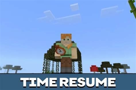 Image result for Time Stop Mod 1.16.4
