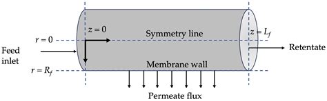 Computational Fluid Dynamics Modeling of the Filtration of 2D Materials ...