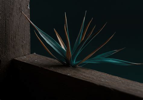 Image result for Smart Adaptive Systems