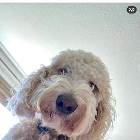 Texas Instruments TI-Nspire CX II Color Graphing Calculator with ...