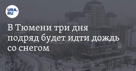 В Тюмени с 24 по 26 октября будет идти дождь со снегом: Gismeteo, скрин