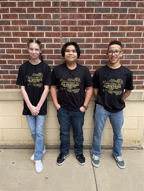 New Homes in Northwest ISD, Available at Treeline