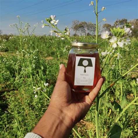 Small Bee Honey/1 Kg – PushtiOrganics