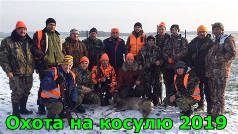 Загонная охота на косулю 2019/2020 Лицензия закрыта. Загінне полювання ...