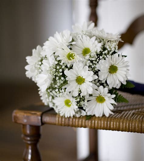 Daisies Bridal Bouquet at William Stork blog