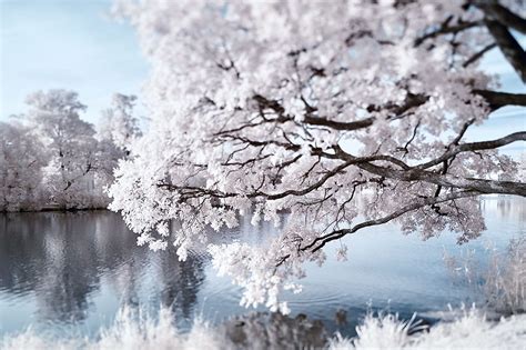 Image result for Infrared Photography Tutorial