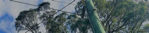 Image result for Power Pole Replacement