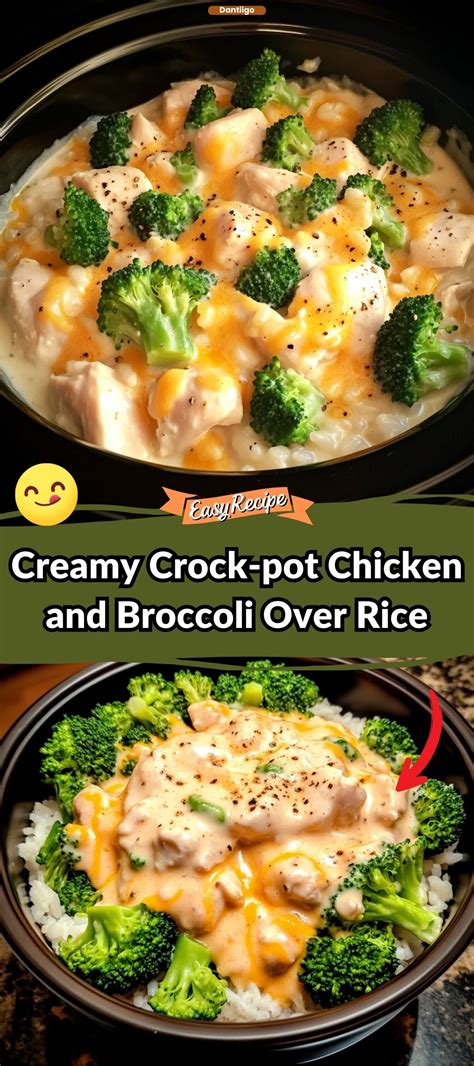Creamy Crock-pot Chicken and Broccoli Over Rice | Recipe in 2025 ...