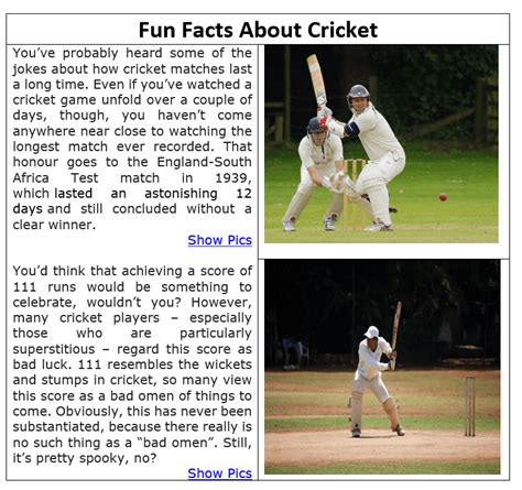 Image result for Computer Class 10 Practical