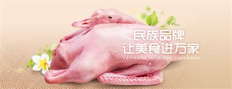 公司简介_吉林省成一禽业开发有限责任公司