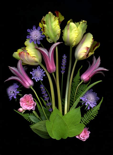 Image result for Composition of Flowers Tutorial