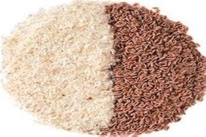 Welcome to Niyan Naturals - Psyllium Husk, Psyllium Husk Powder ...