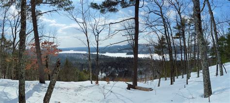 Nature 的图像结果