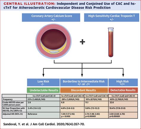 Atherosclerotic Cardiovascular Disease Risk Stratification Based on Measurements of Troponin and ...