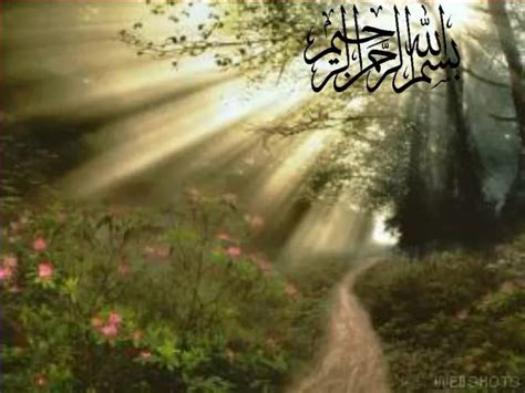 Fever Patterns 的图像结果