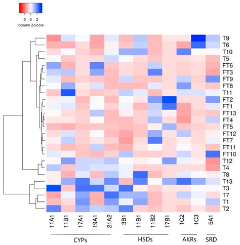 Revisiting Steroidogenic Pathways in the Human Placenta and Primary ...