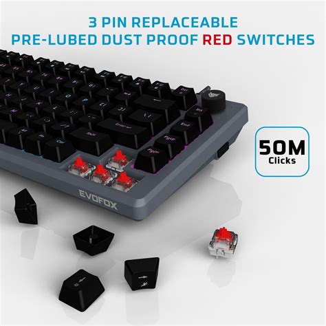 EvoFox Katana X2 TKL Wireless Mechanical Gaming Keyboard – Tri-Mode (BT ...