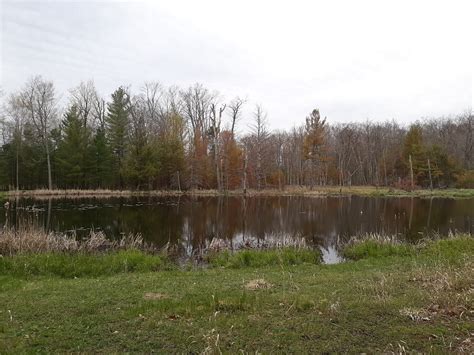 CLARK'S MARSH (2026) All You Need to Know BEFORE You Go (with Photos ...