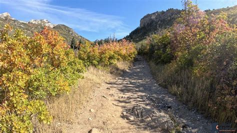Horsetail Falls Hike from the Dry Creek Trailhead in Alpine, Utah