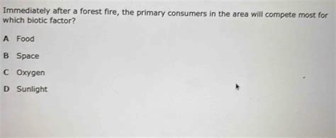 Solved: Immediately after a forest fire, the primary consumers in the ...