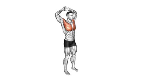 Image result for Functional Chest Exercises