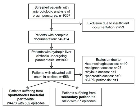 Image result for Capd Flow Sheet