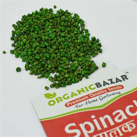 Buy Best Quality Spinach Seeds Hybrid Online
