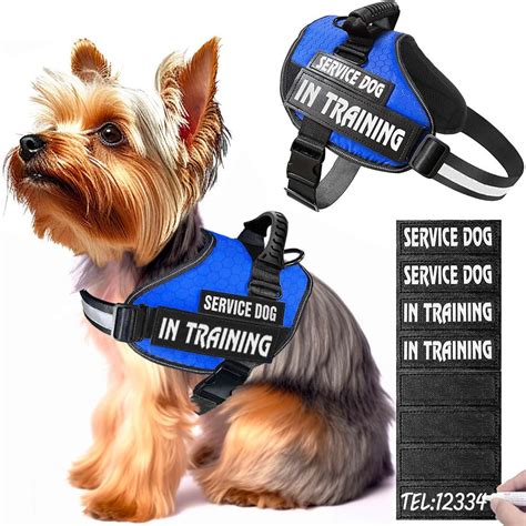Amazon.com : Bcadem Service Dog Vest,8 Dog Patches No-Pull Service Dog ...