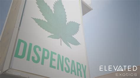 Buying Guides Archives | Elevated Exotics Cannabis Dispensary