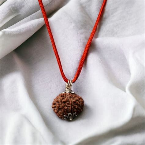 Nepali Rudraksha